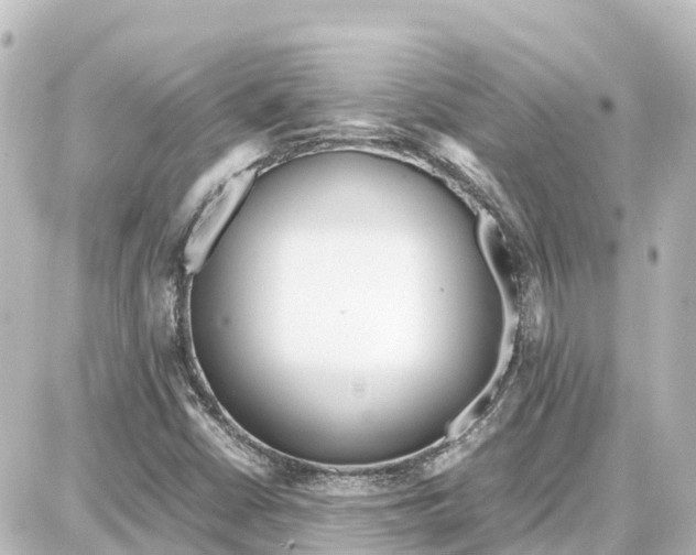 X0000087691402200705251657