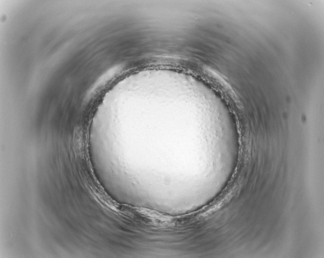 X0000087691403200705251657