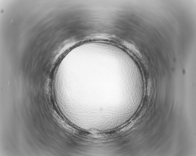 X0000087691404200705251657