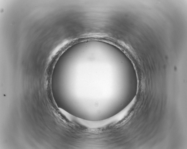 X0000087691406200705251657