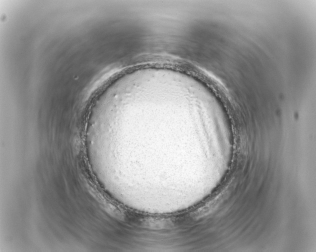 X0000087691407200705251657