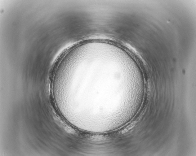 X0000087691408200705251657