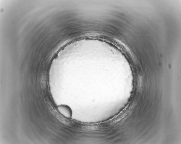 X0000087691409200705251657