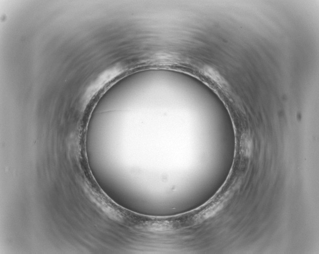 X0000087691410200705251657