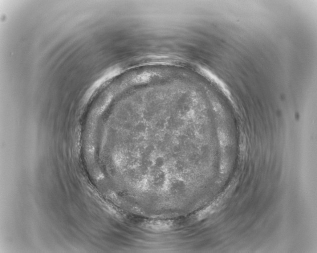 X0000087691411200705251657