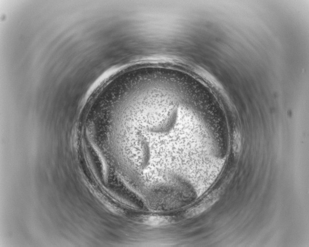 X0000087691412200705251657