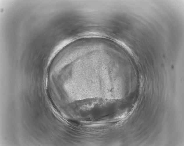 X0000087691413200705251657