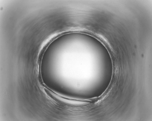 X0000087691414200705251657