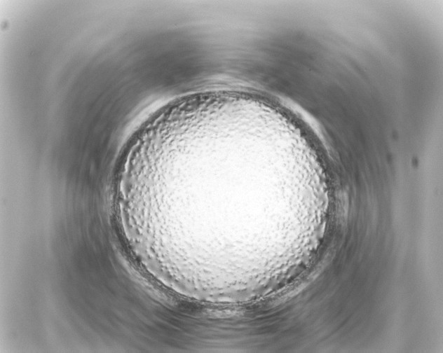 X0000087691415200705251657