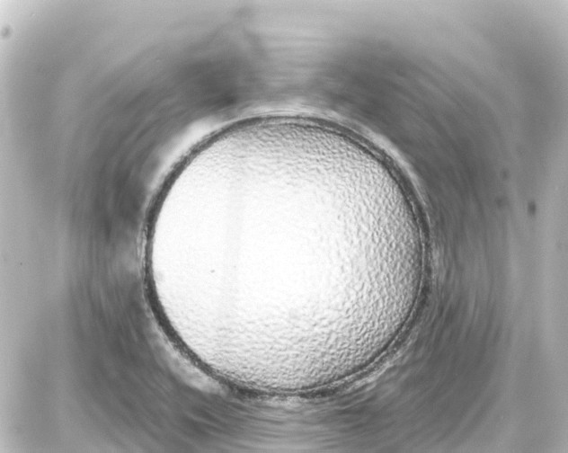 X0000087691416200705251657