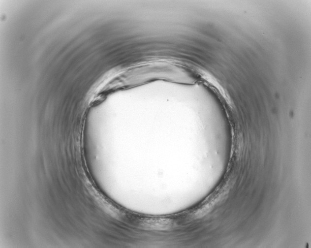 X0000087691417200705251657