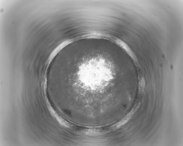 X0000087691418200705251657