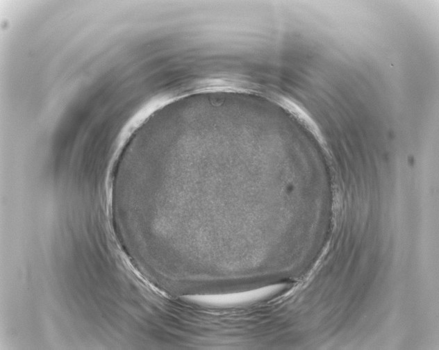 X0000087691419200705251657