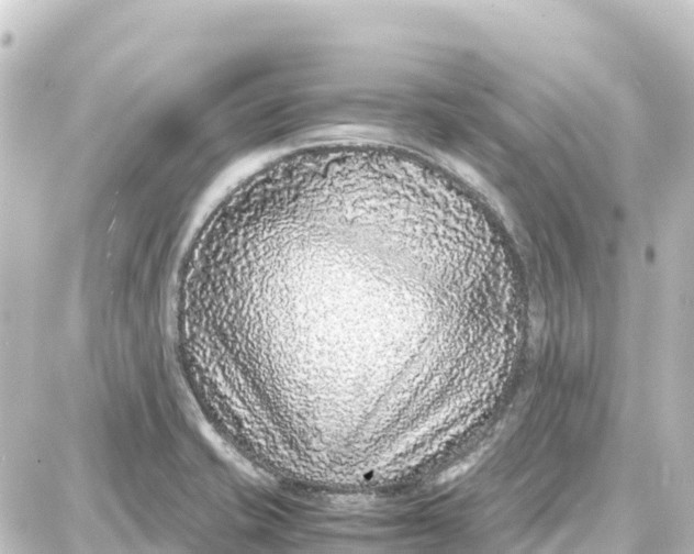 X0000087691421200705251657