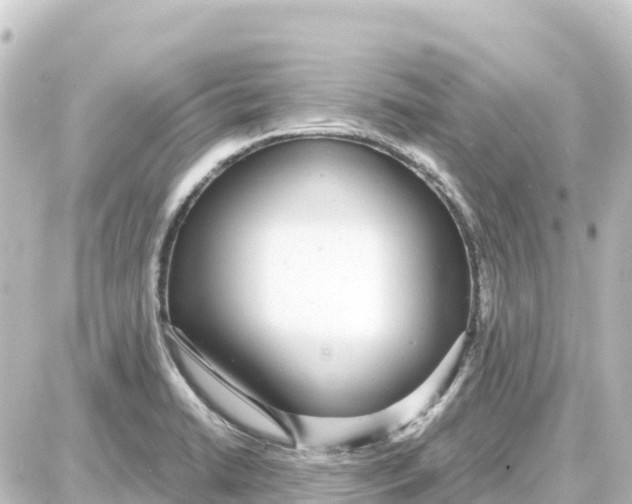 X0000087691422200705251657