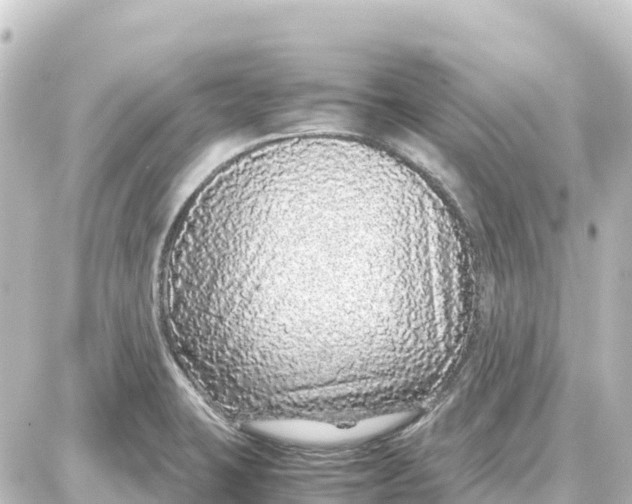 X0000087691423200705251657