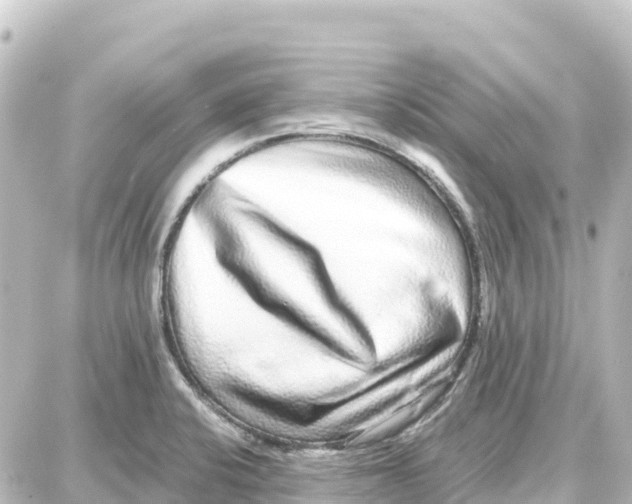 X0000087691424200705251657