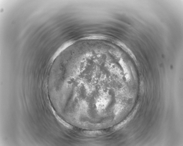 X0000087691425200705251657