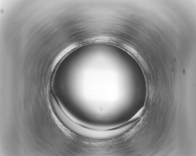 X0000087691426200705251657