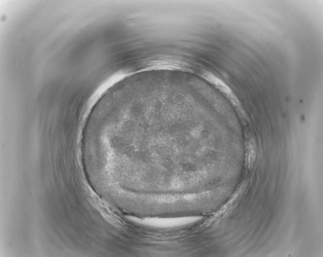 X0000087691427200705251657