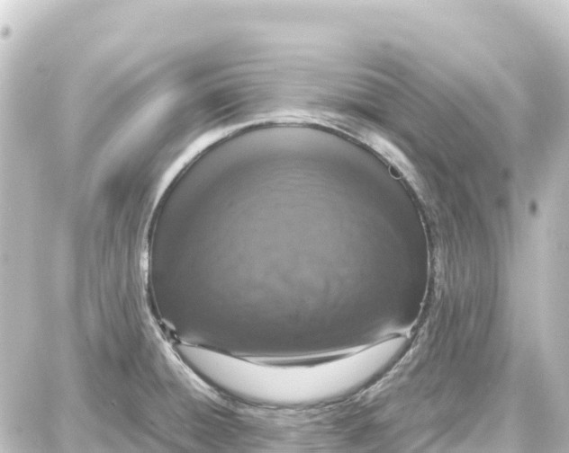 X0000087691428200705251657