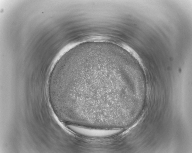 X0000087691429200705251657