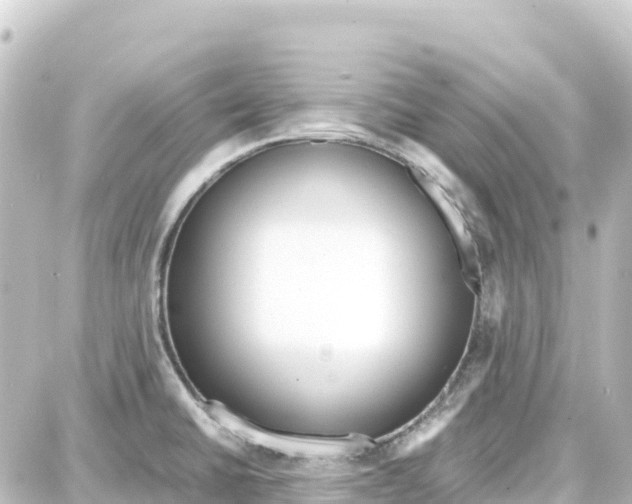 X0000087691430200705251657