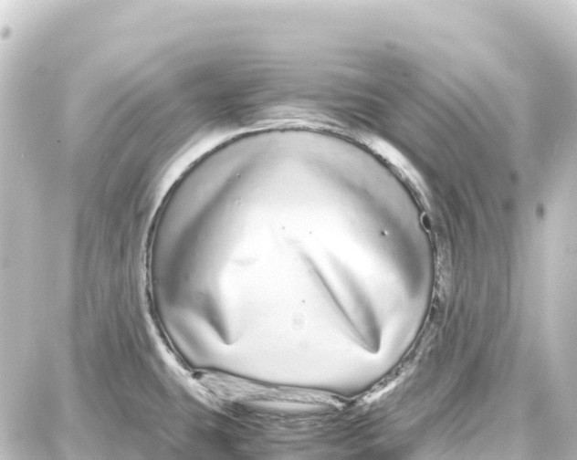 X0000087691431200705251657