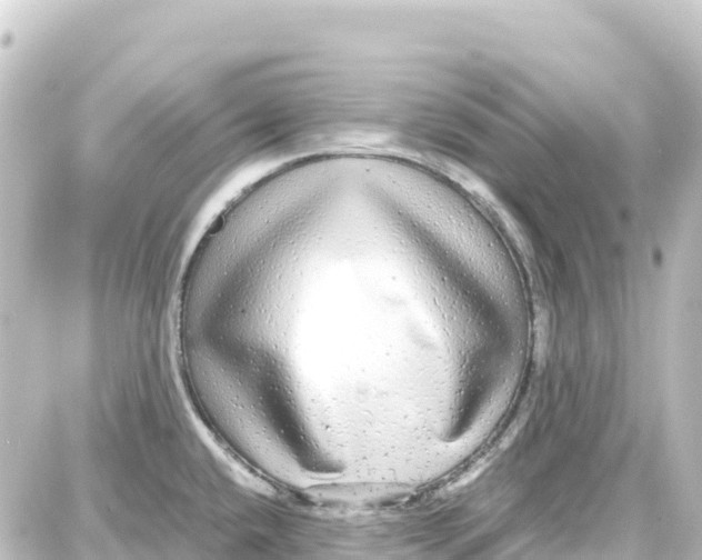 X0000087691432200705251657