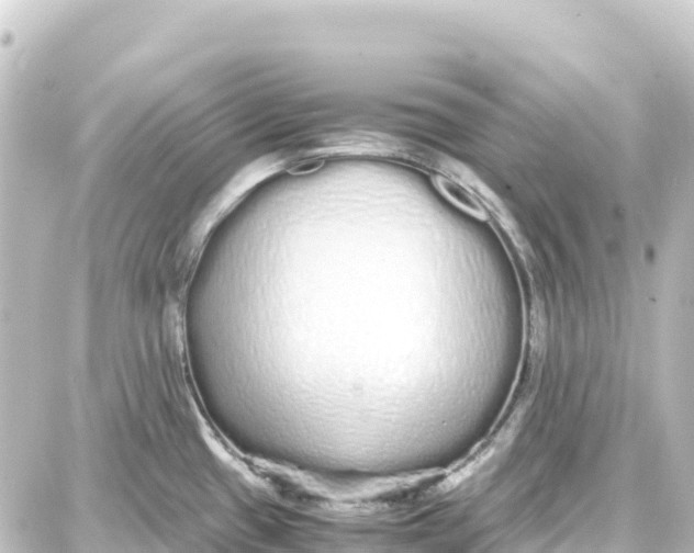 X0000087691433200705251657