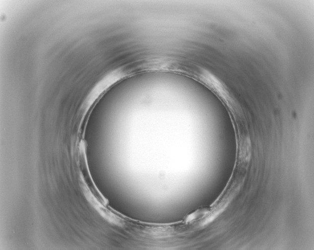 X0000087691434200705251657