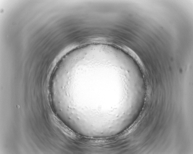 X0000087691435200705251657