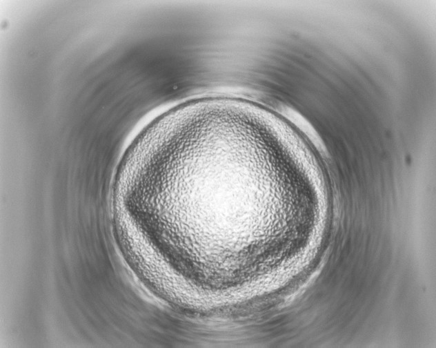 X0000087691436200705251657