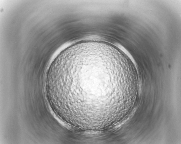 X0000087691437200705251657