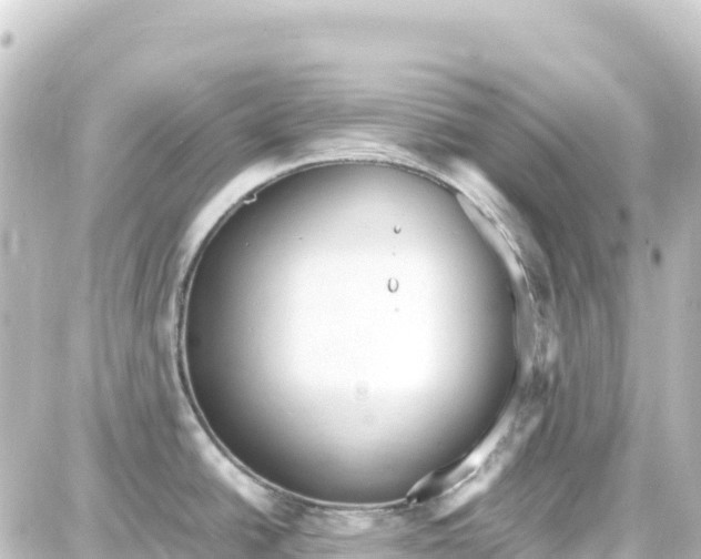 X0000087691438200705251658