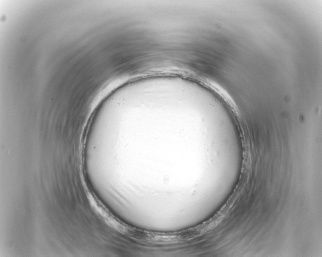 X0000087691439200705251658