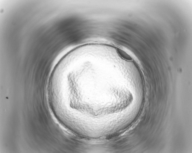 X0000087691440200705251658