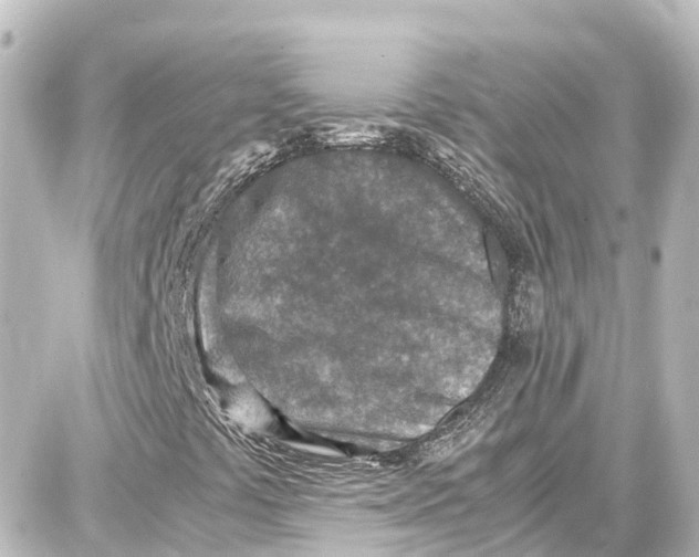 X0000087691441200705251657