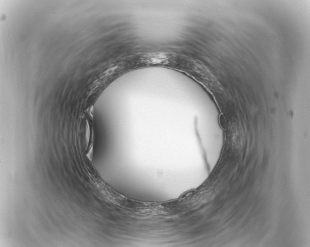 X0000087691442200705251657