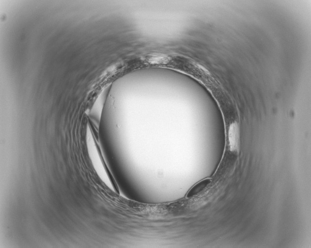 X0000087691443200705251657