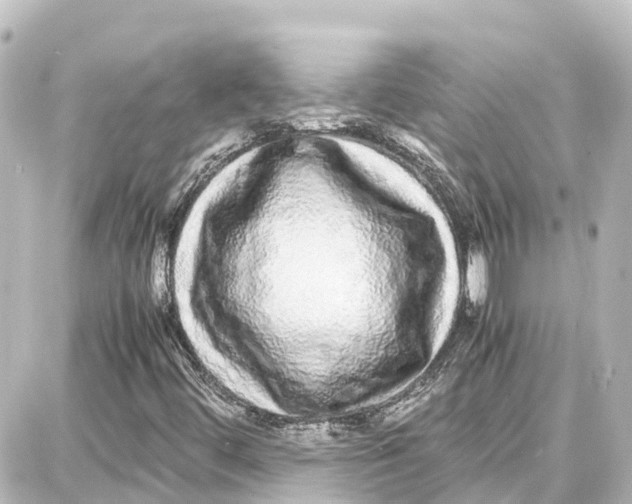 X0000087691444200705251657