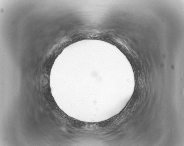 X0000087691447200705251657