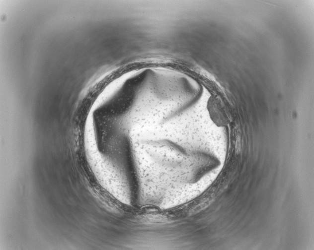 X0000087691448200705251657