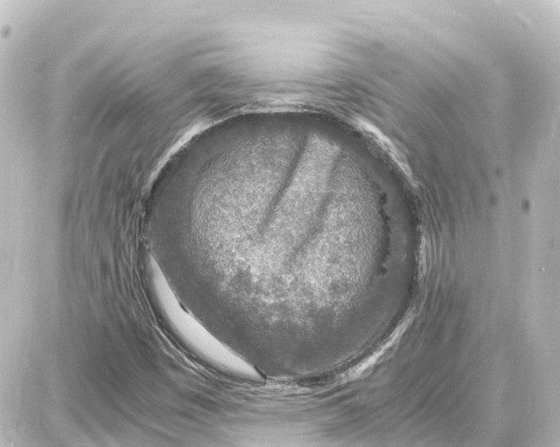 X0000087691449200705251657