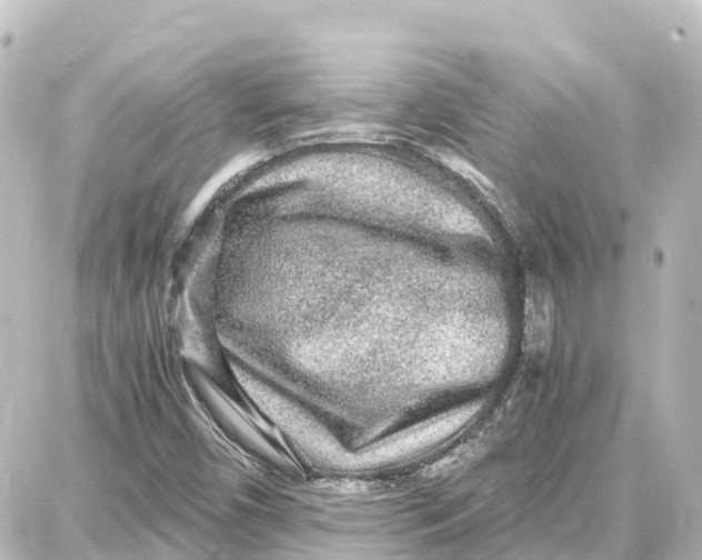 X0000087691450200705251657