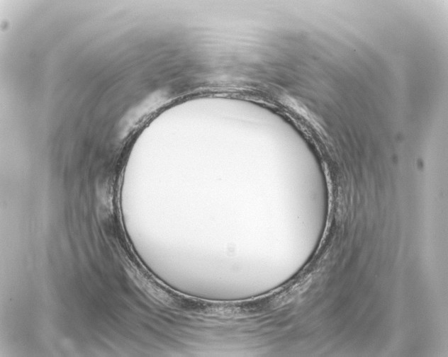 X0000087691451200705251657