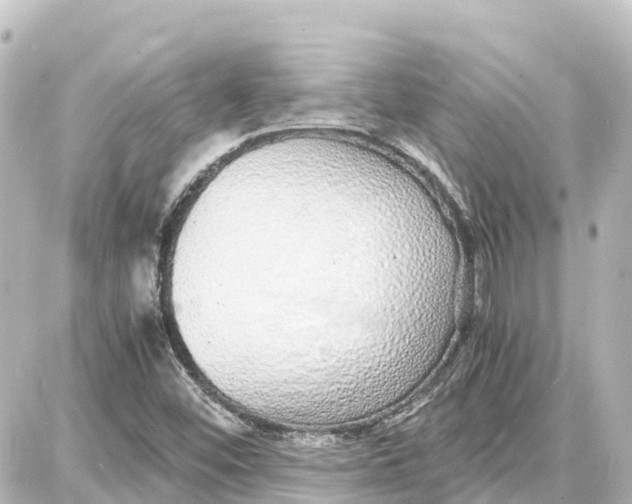 X0000087691452200705251657