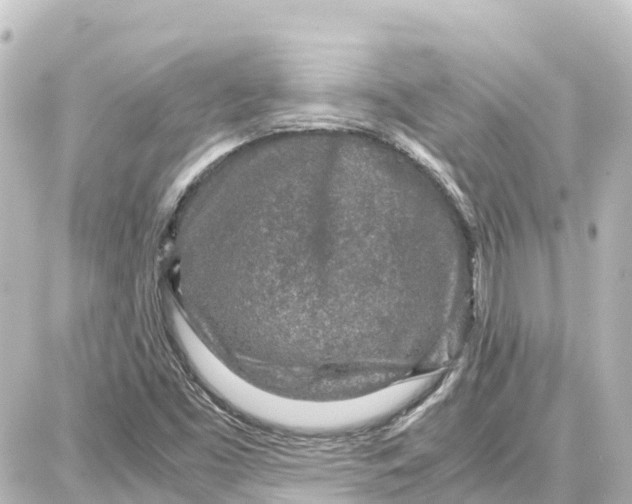 X0000087691453200705251657