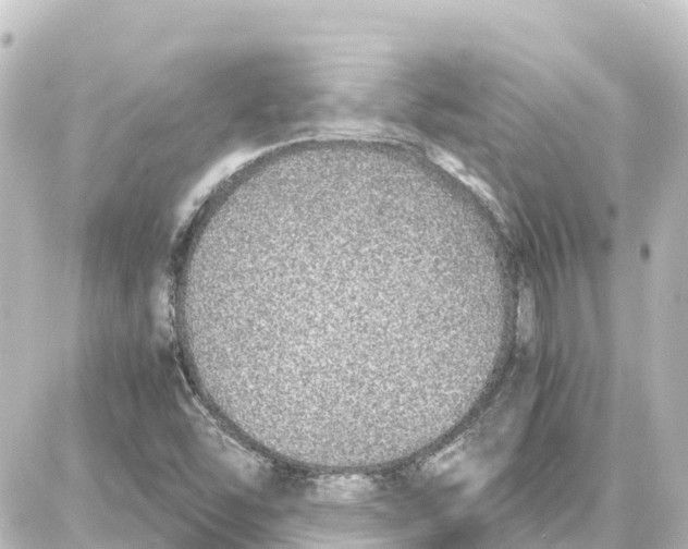 X0000087691454200705251657