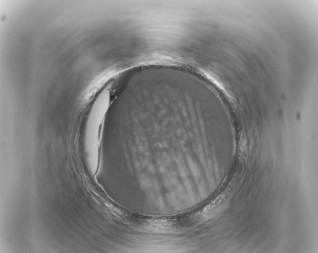 X0000087691455200705251657